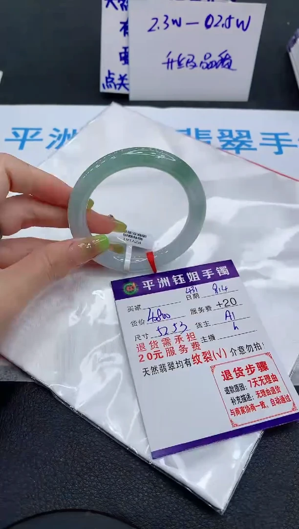 未镶嵌手镯翡翠1