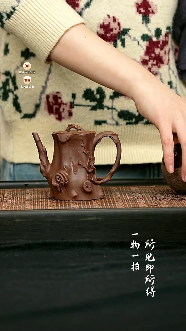 茶壶紫砂全手梅桩壶 一物见春