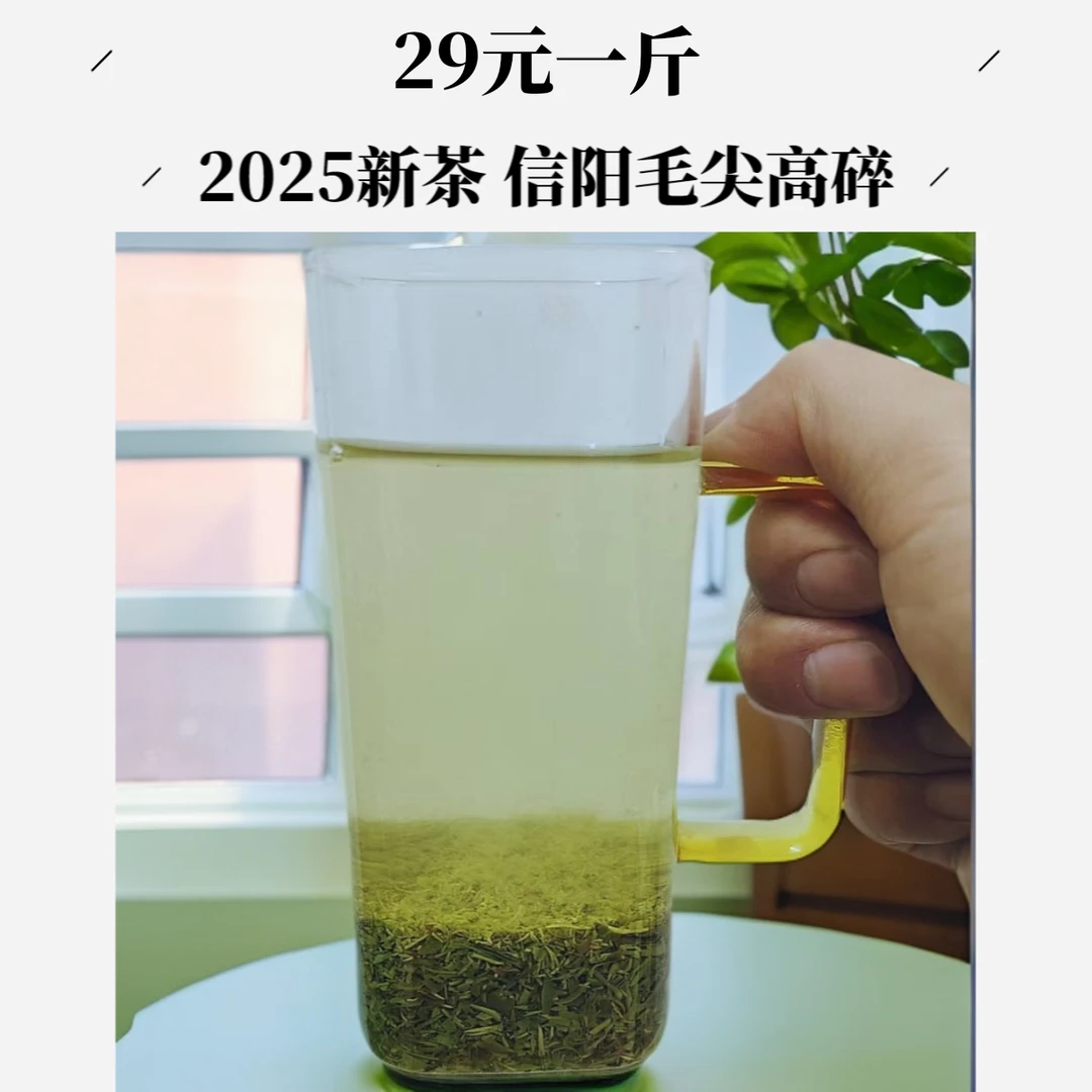 【高碎茶碎】新茶2025信阳毛尖 高碎碎茶浓香好喝耐泡   嫌碎勿拍