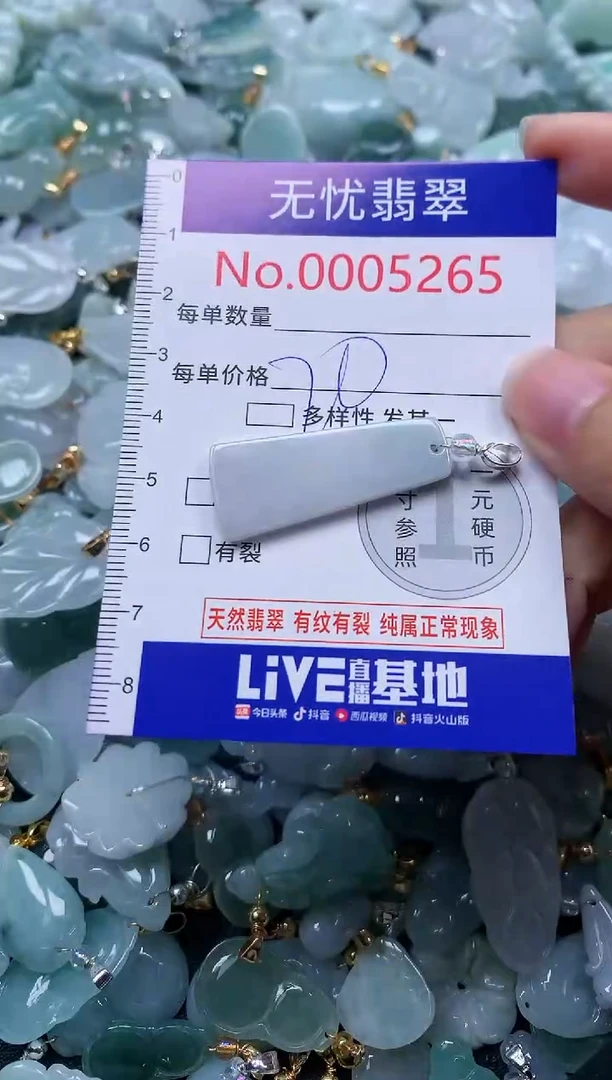 颈饰未镶嵌翡翠5265