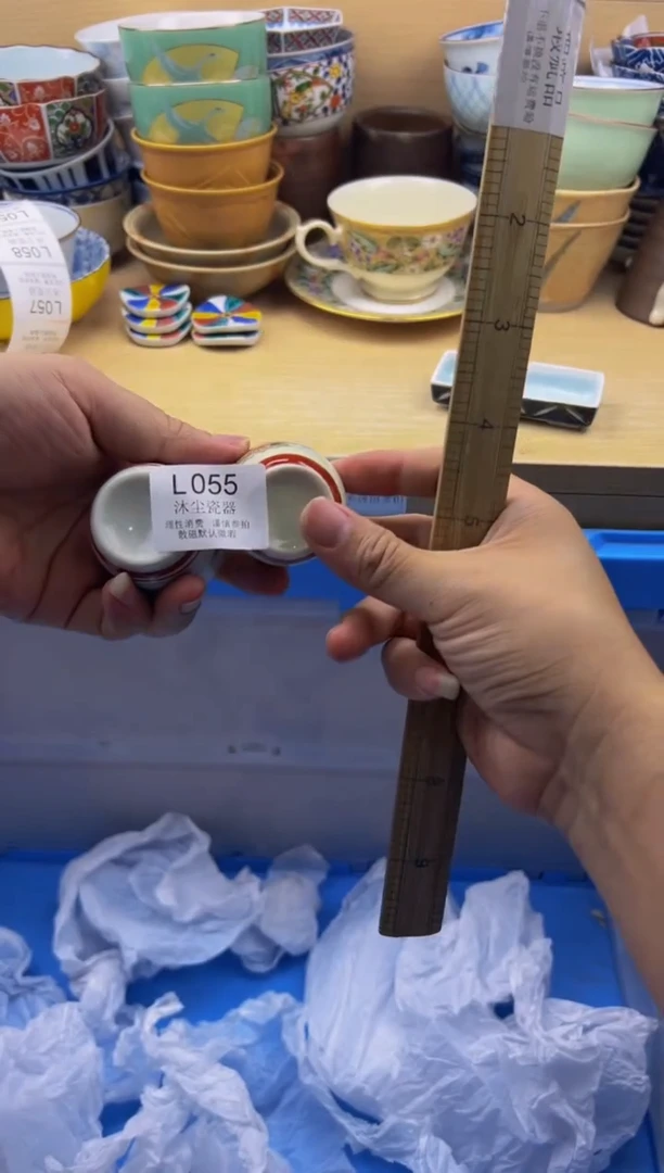 瓷片          L055