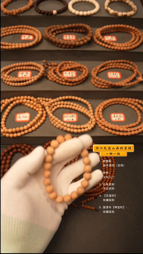 吊坠五线菩提y6线手串