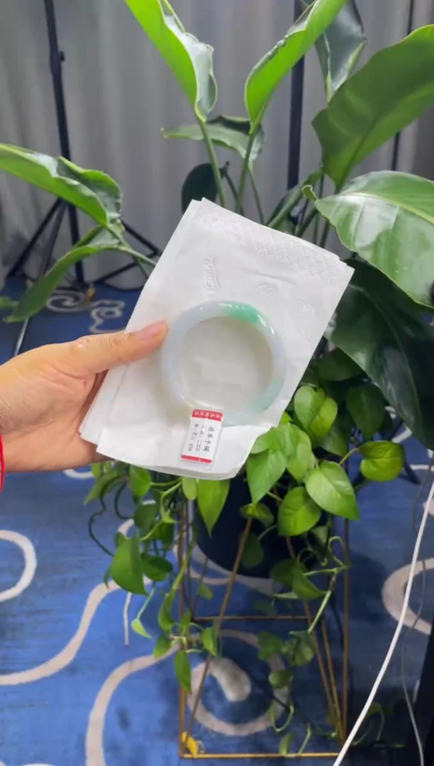 未镶嵌手镯翡翠5634****