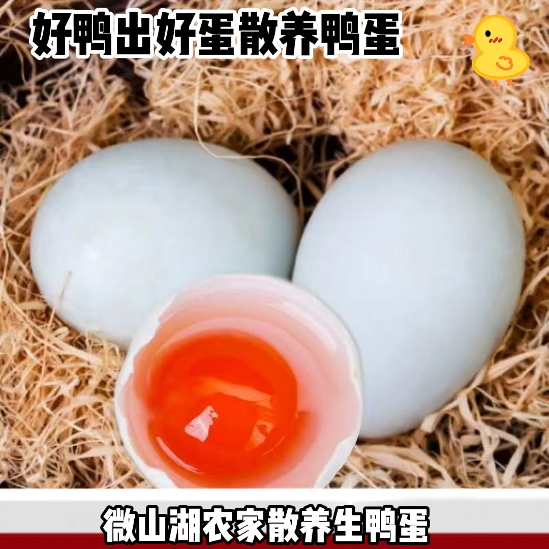 微山湖特产散养红心鸭蛋生态鸭蛋富含虾青素红心散养鸭蛋批发