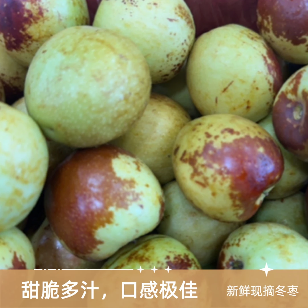 【精品】新鲜脆甜冬枣约500g