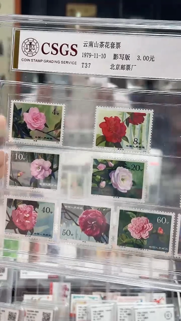 【闪购商品】T37云南山茶花套票 精大盒