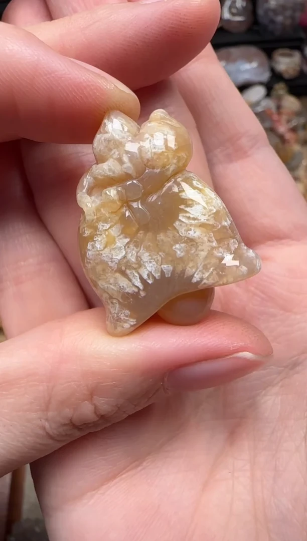 颈饰未镶嵌硅化珊瑚（珊瑚玉）388