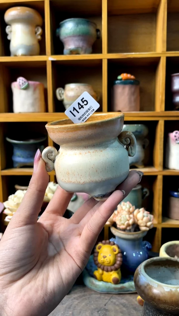 145内口6【多肉花盆多肉盆】