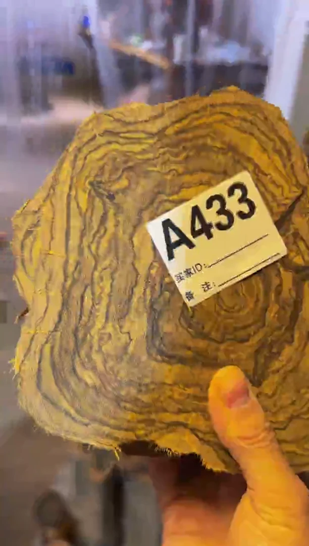 【闪购商品】染料紫檀（血檀）A433花奇楠