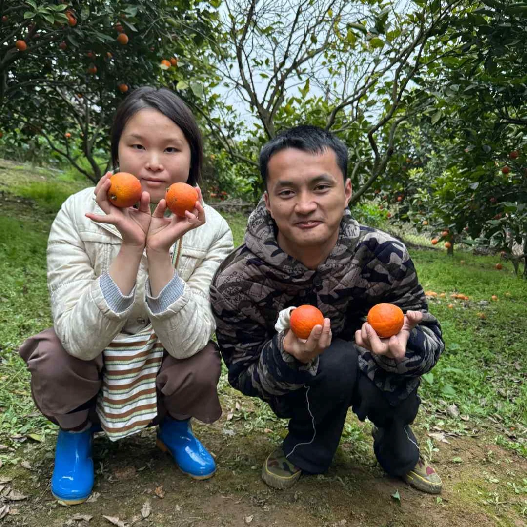 【弟弟妹妹家玫瑰香血橙 】香甜多汁富含花青素应季血橙