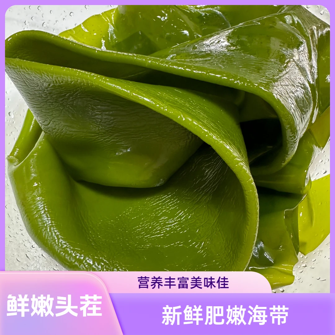 整张盐渍海带【5斤连箱】新鲜头茬嫩绿爽口凉拌煲汤火锅炒菜打饭包