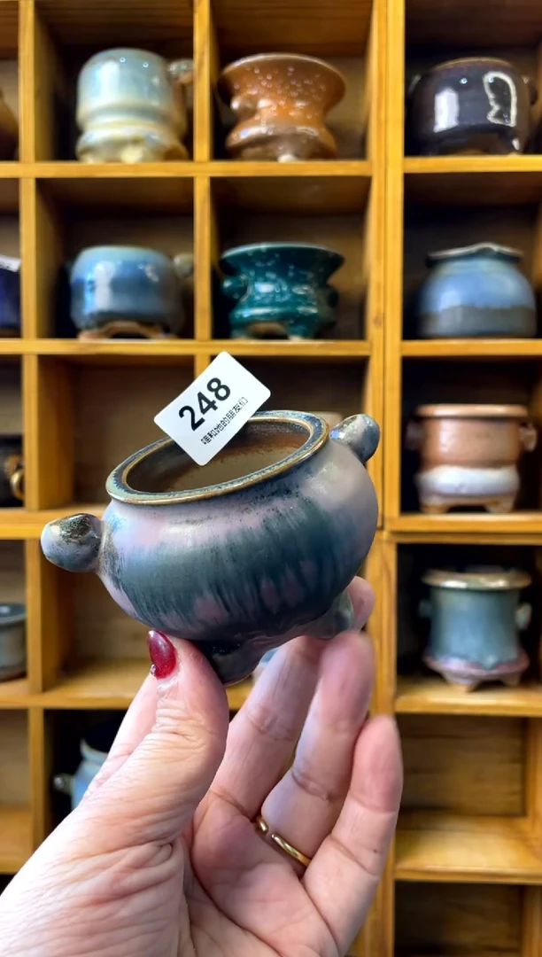 【闪购商品】陶248