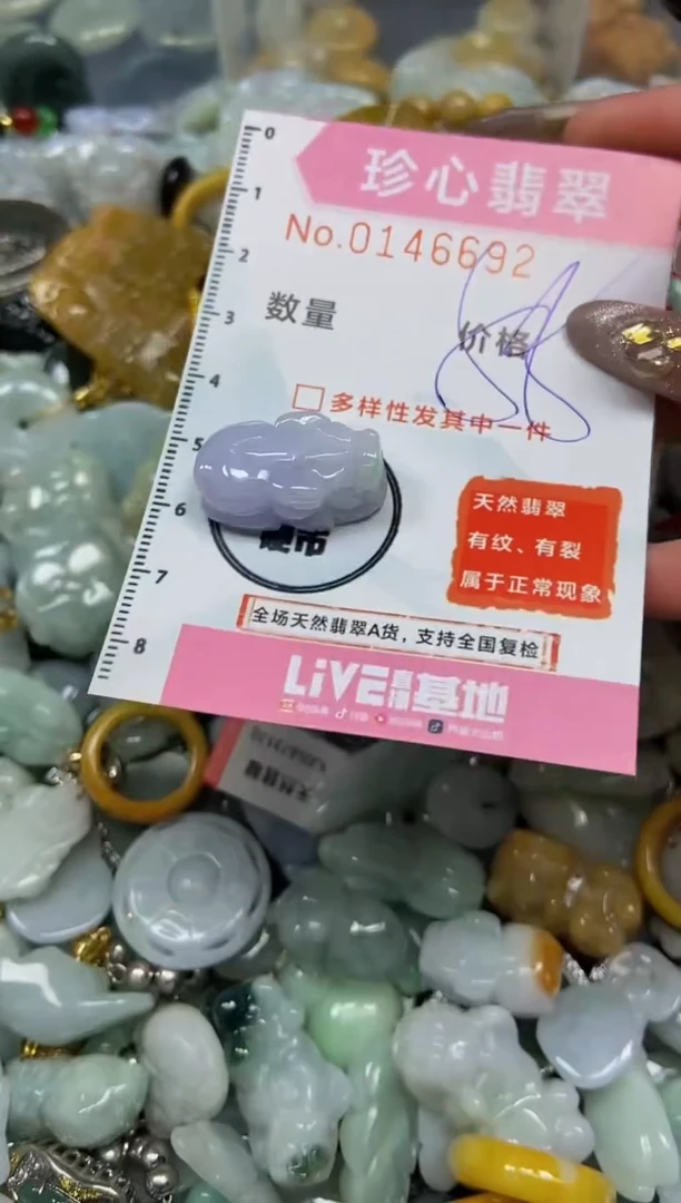 【闪购商品】翡翠颈饰未镶嵌闪购0146692