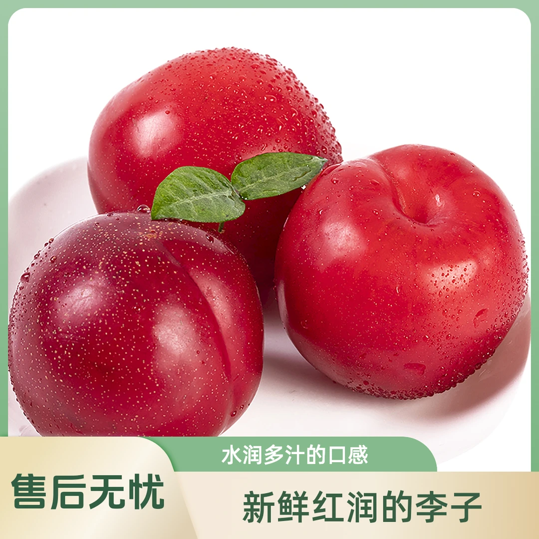 红布朗李子 约500g