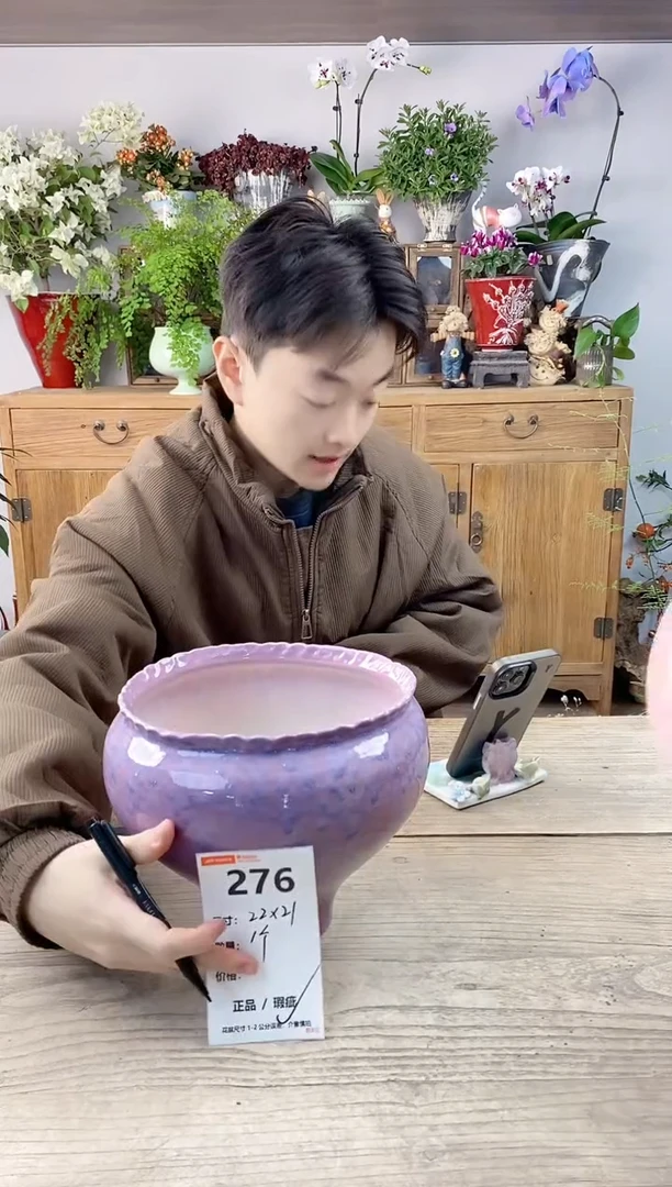 小玩子花盆直播编号276