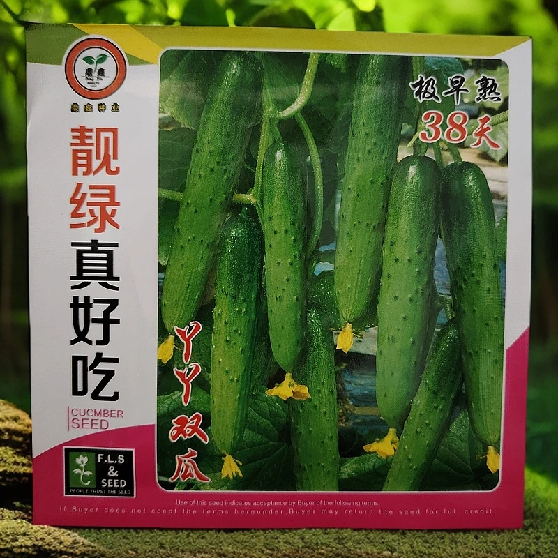 靓绿真好吃黄瓜籽