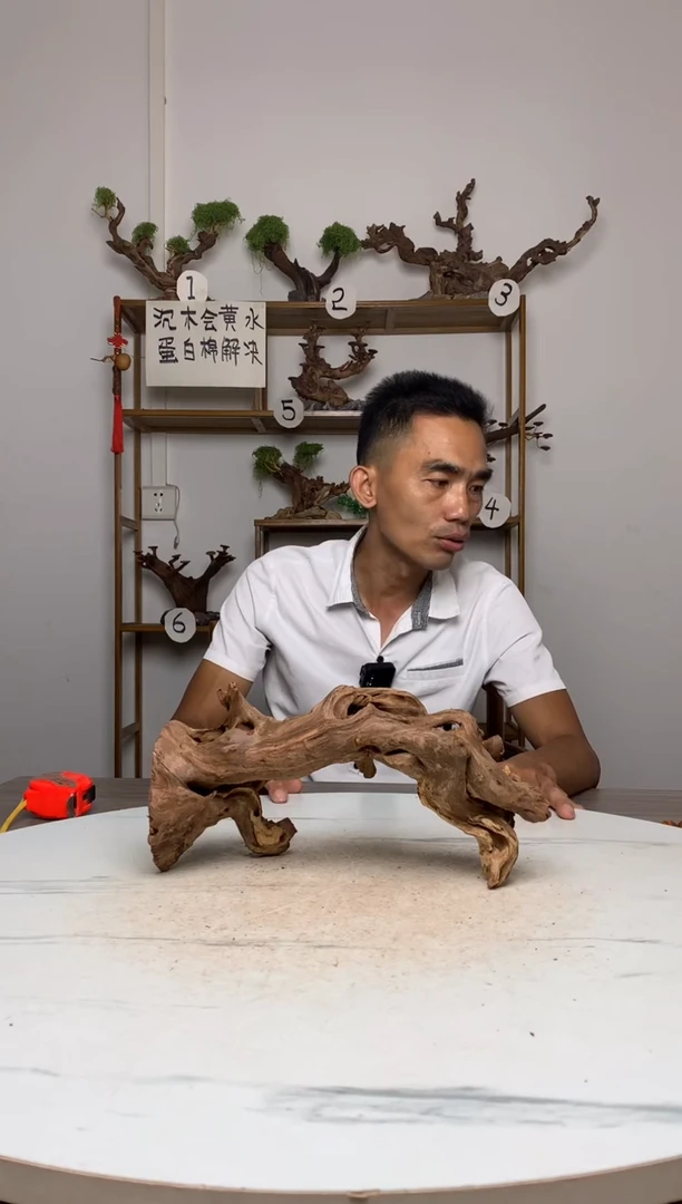 A***天鱼缸造景沉木摆件