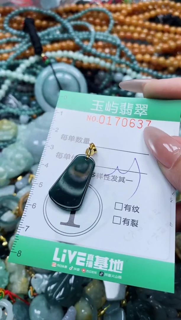 翡翠未镶嵌颈饰闪购0170637