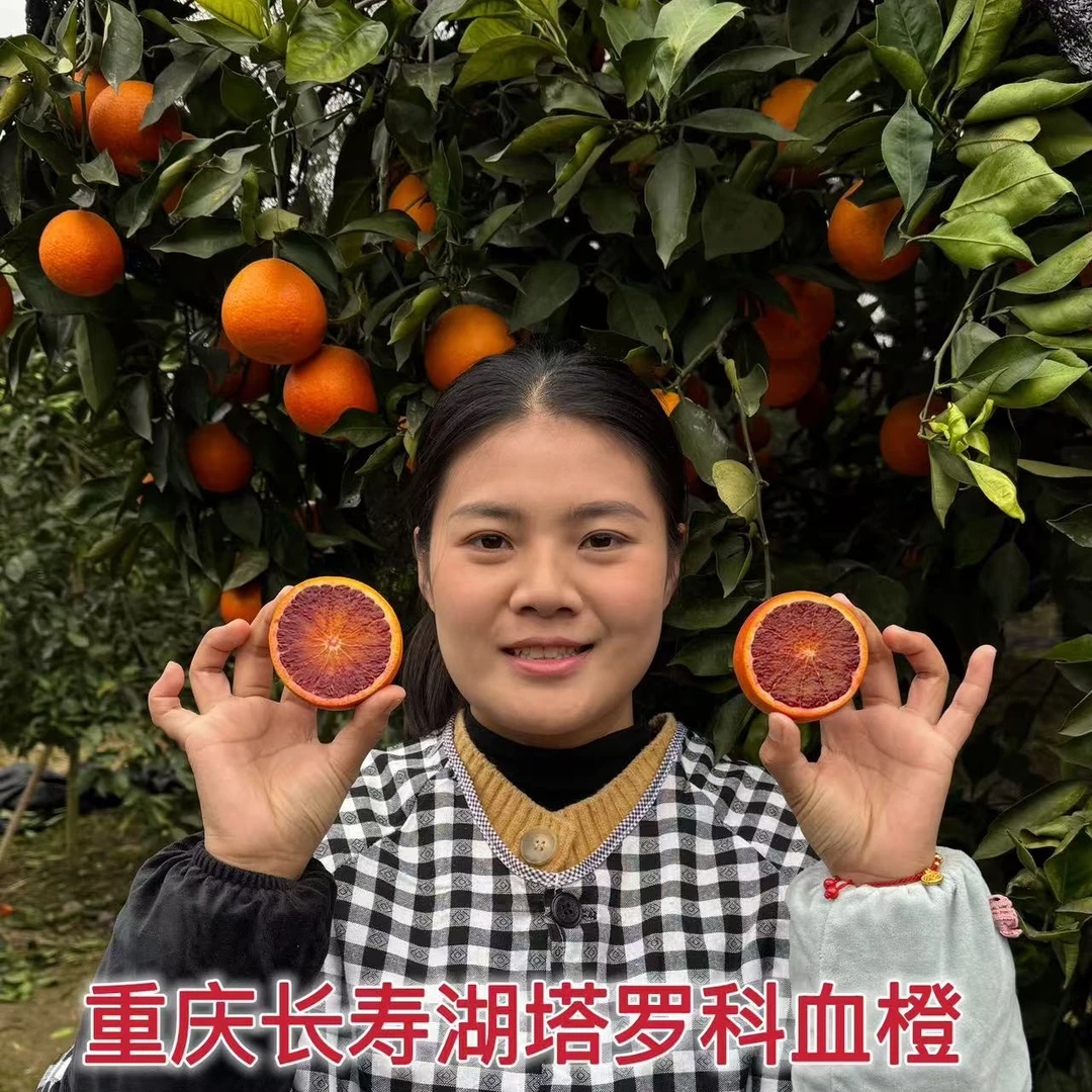 娇娇【坏果包赔】重庆血橙新鲜应季水果现摘现发5/10斤