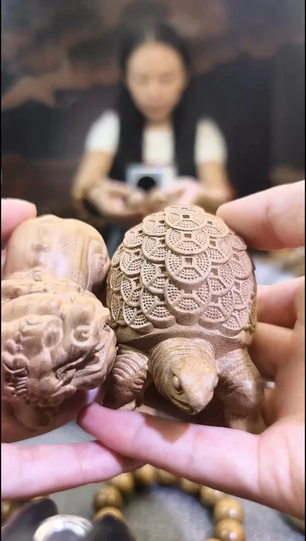 王*营金丝       楠金钱龟