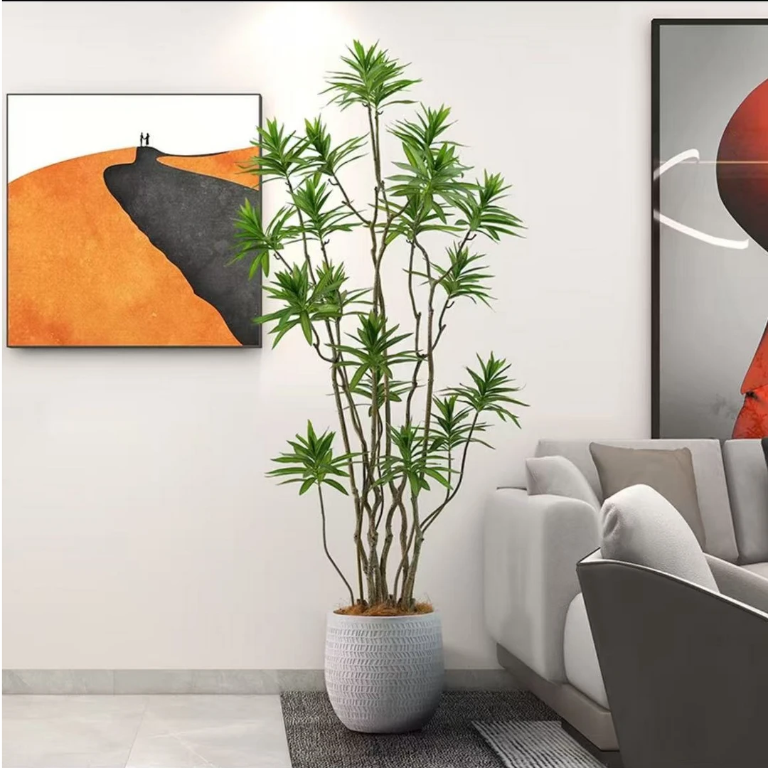 【悦氧】百合竹客厅绿植金边高级感真绿植盆栽老桩造型室内轻奢