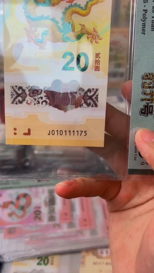 塑料24年龙钞豹升号狮身（无34）-PMG68