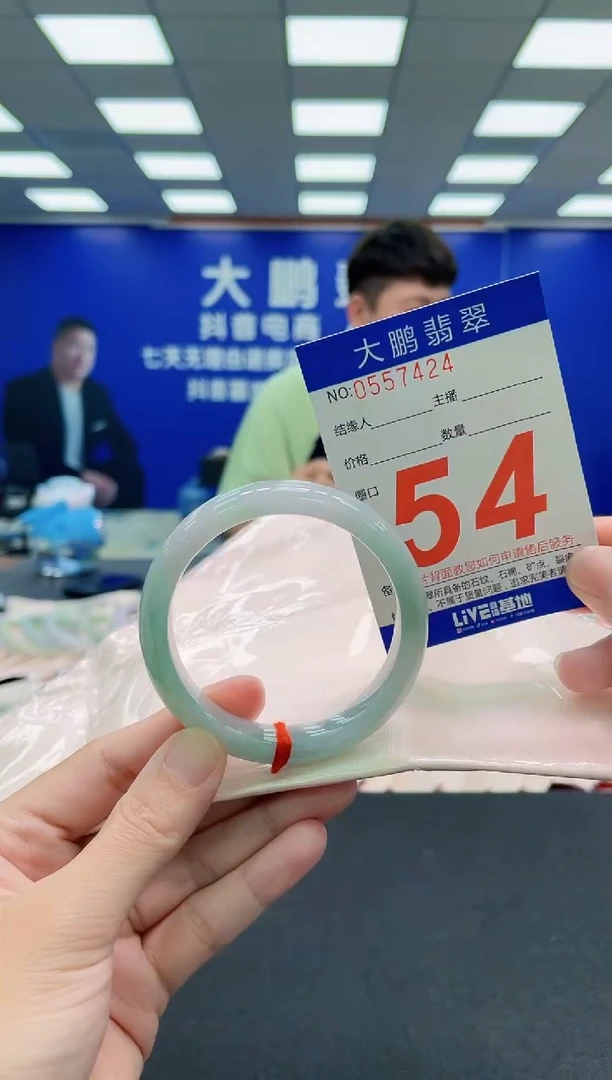 未镶嵌手镯翡翠AAAAAAAAA