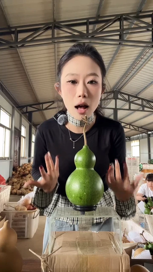 无花朵703天然葫芦摆件 一物一拍龙头不保售后