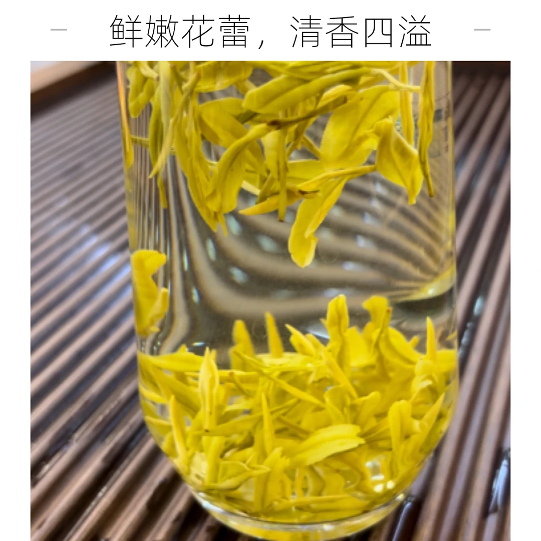 谷雨黄金芽高山原产地浓香鲜嫩好茶