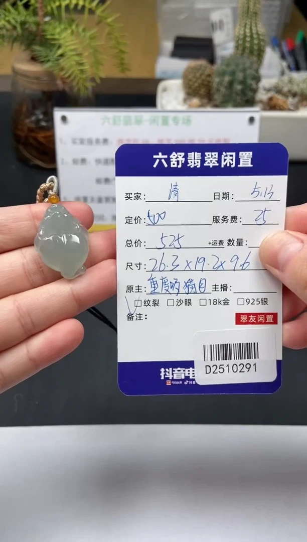 翡翠未镶嵌颈饰D2510291