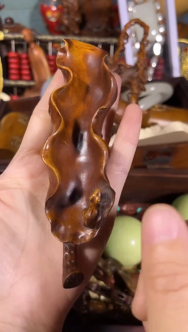 黄杨木11111111111111111111