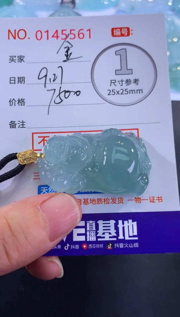 颈饰18K金镶嵌翡翠金****涛！
