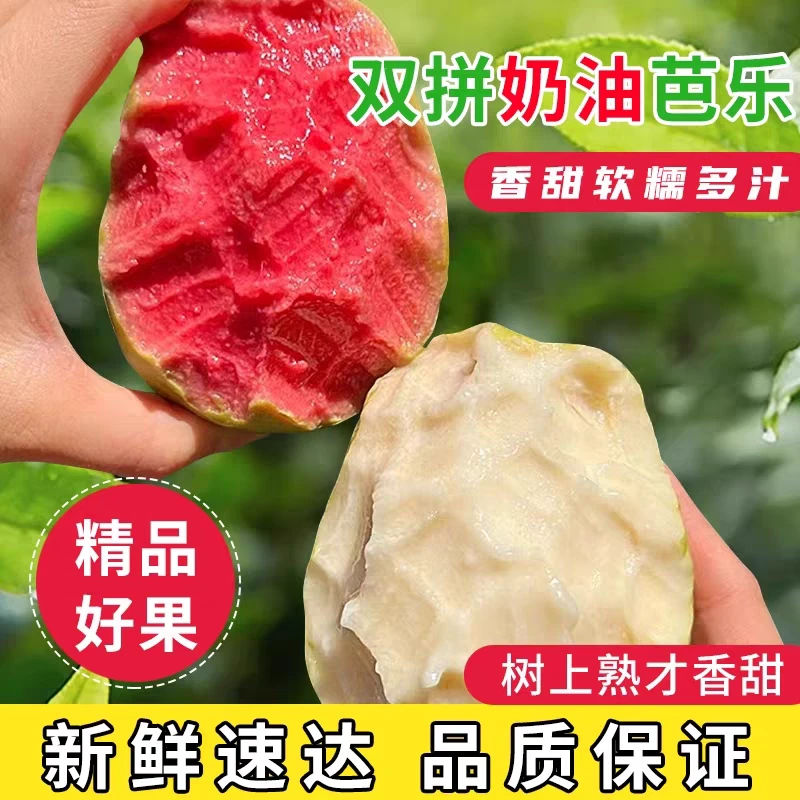 广西红心芭乐软芭乐应季水果新鲜番石榴白心芭乐奶油芭乐双拼芭乐