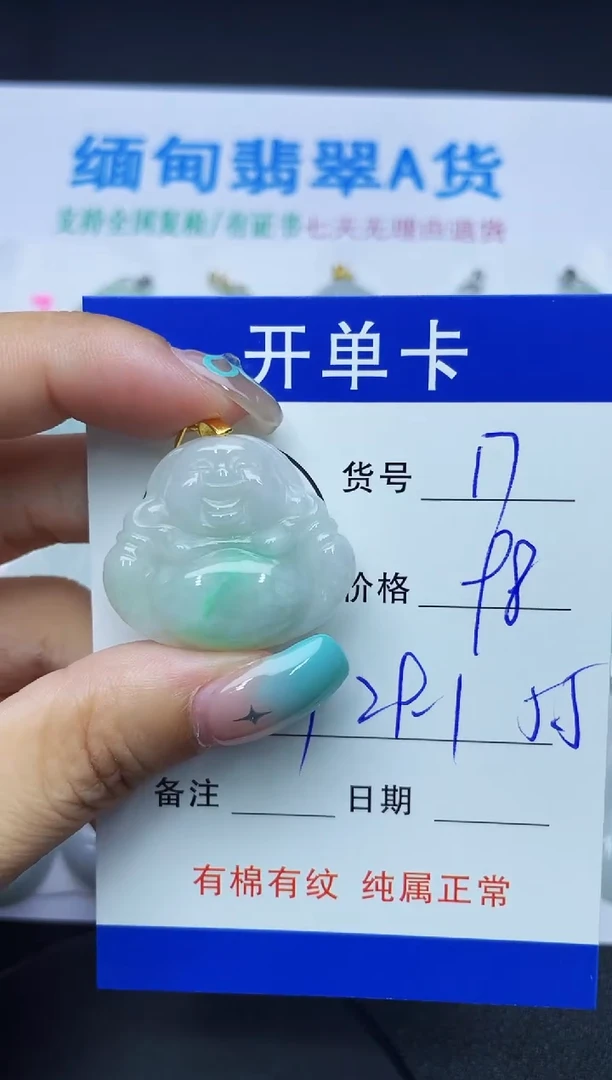 翡翠未镶嵌吊坠(赠链)17