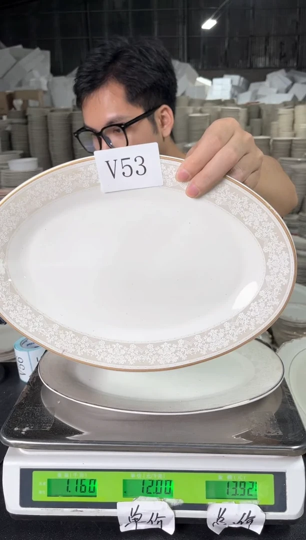 新骨瓷V53  12寸  2个