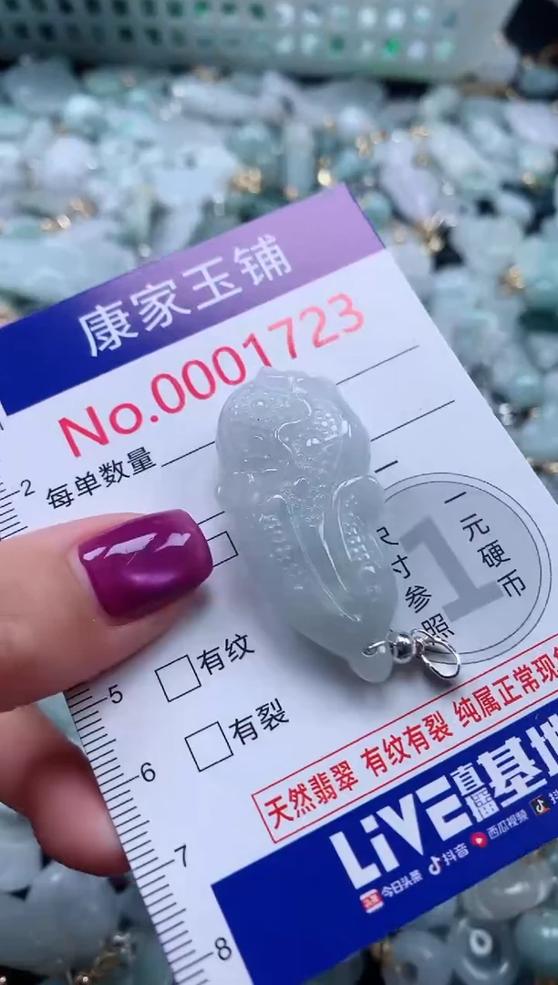颈饰未镶嵌翡翠1723
