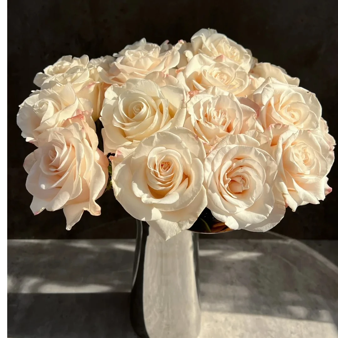 【源头优选】辛西娅 单头玫瑰任意2单鲜花包邮 发货后不支持退款