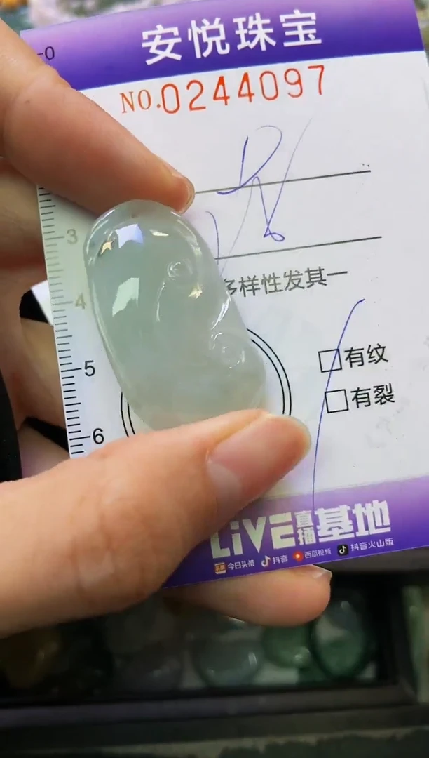 颈饰未镶嵌翡翠闪购0244097