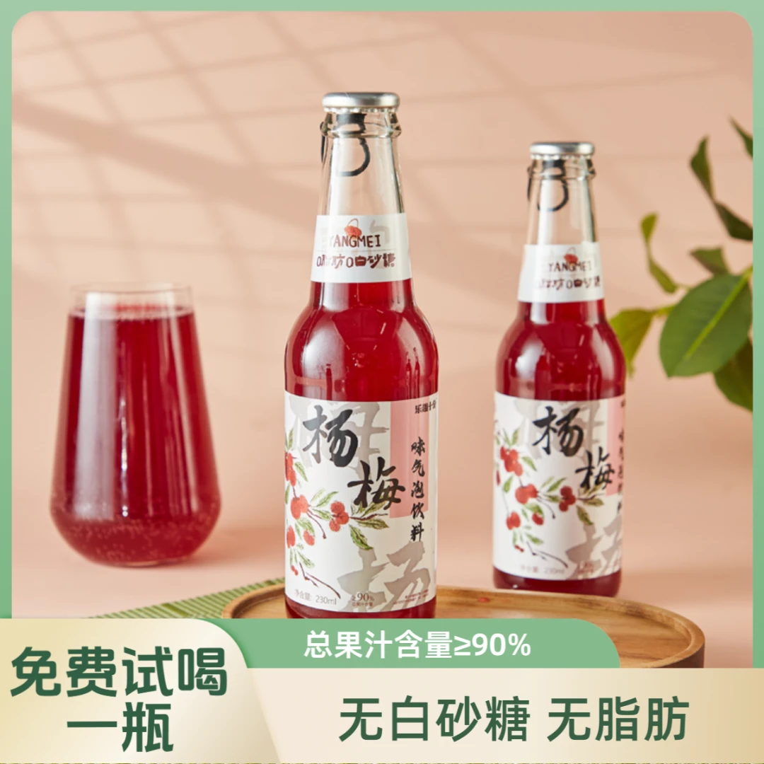 乐趣十分 杨梅气泡小果汁饮料无脂肪东魁杨梅汁清爽解腻配料干净