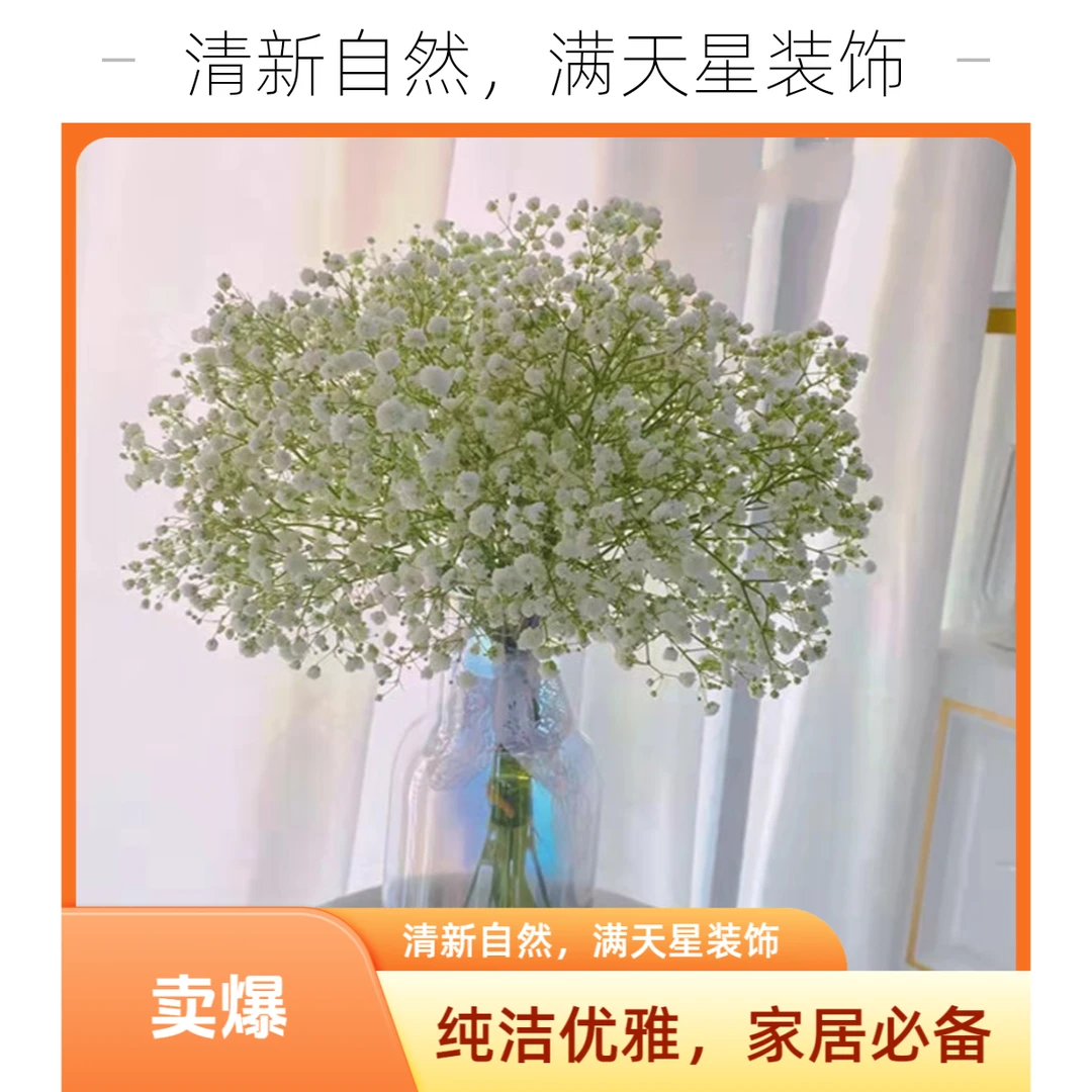 【2支白色满天星】全店满35元包邮《今天下单明天到》家庭生活鲜花瓶插花