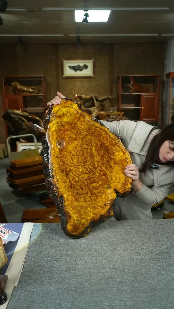 黄金樟茶盘74-46-5