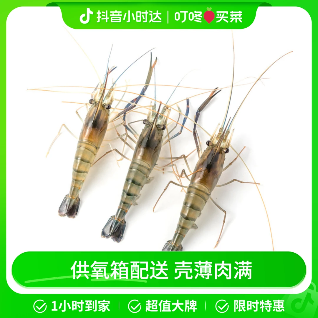 鲜活罗氏沼虾 350g