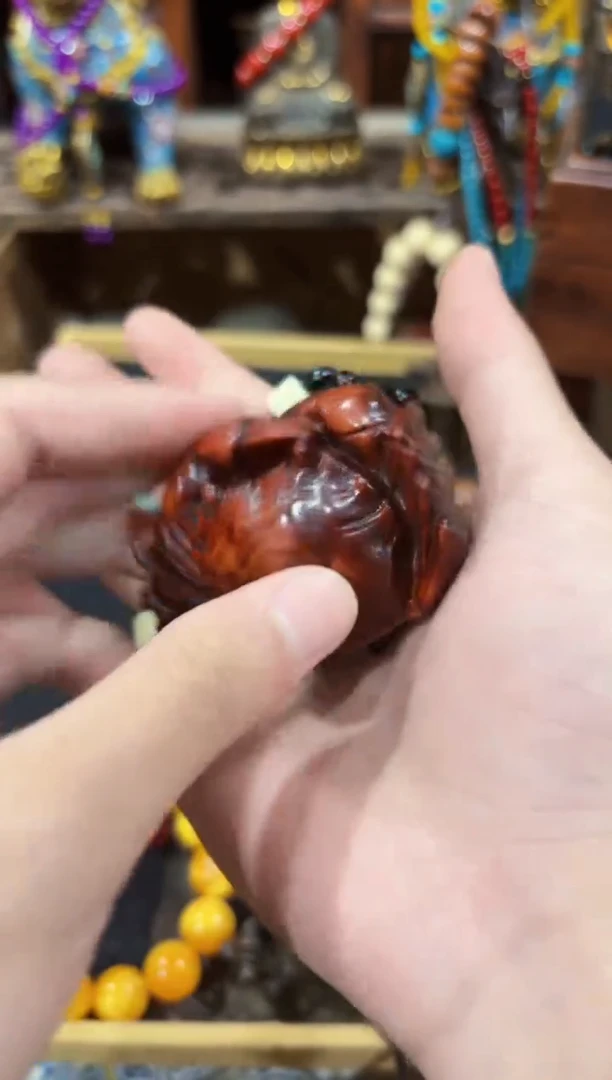 香榧木------------------