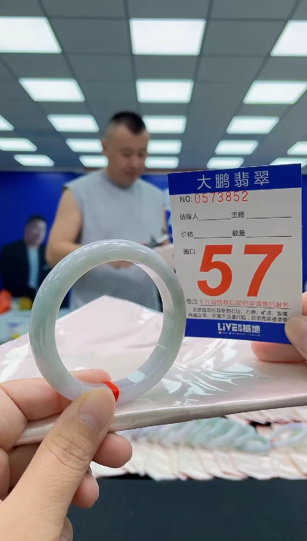 未镶嵌手镯翡翠AAAAAAAAA