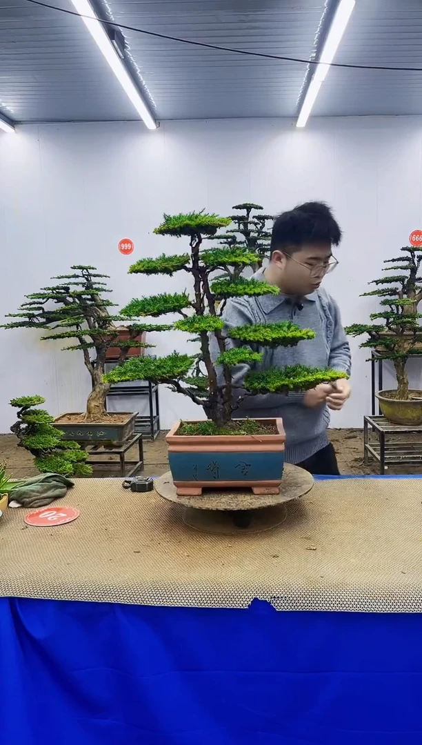 无花朵一物一拍，所见即所得