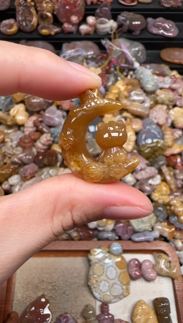 颈饰未镶嵌硅化珊瑚（珊瑚玉）117