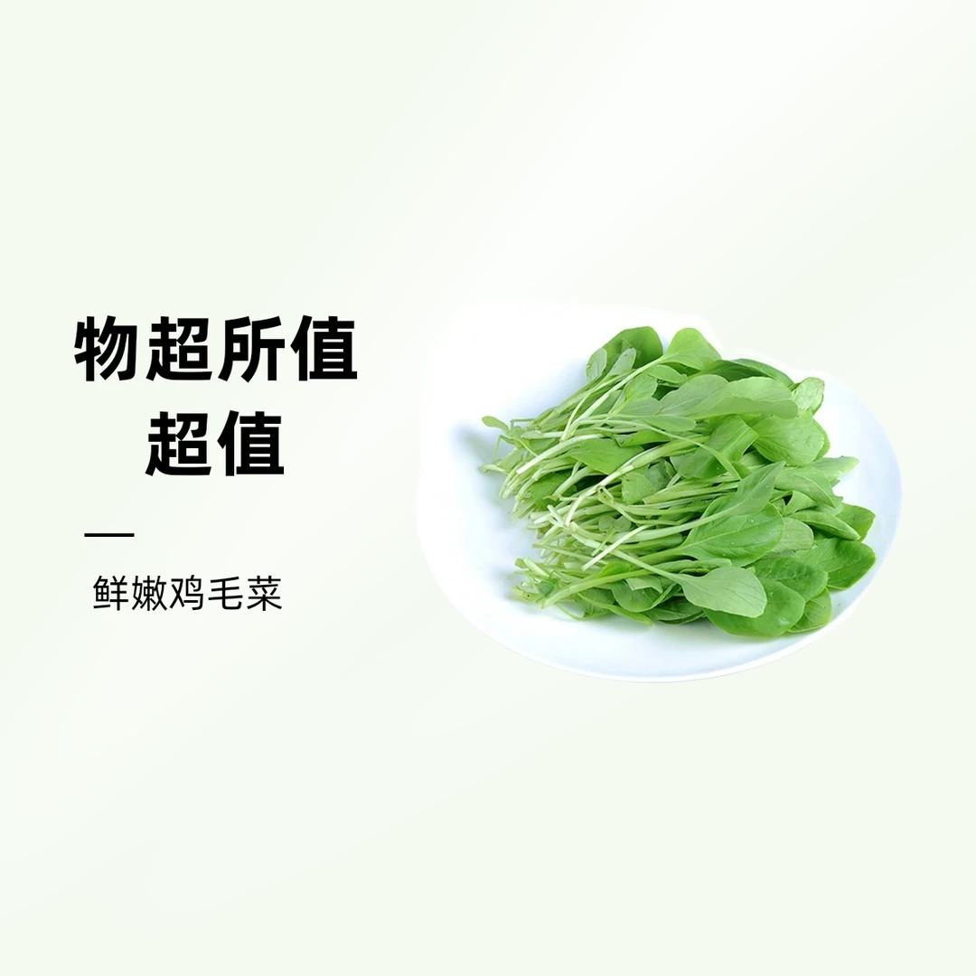 鸡毛菜250g