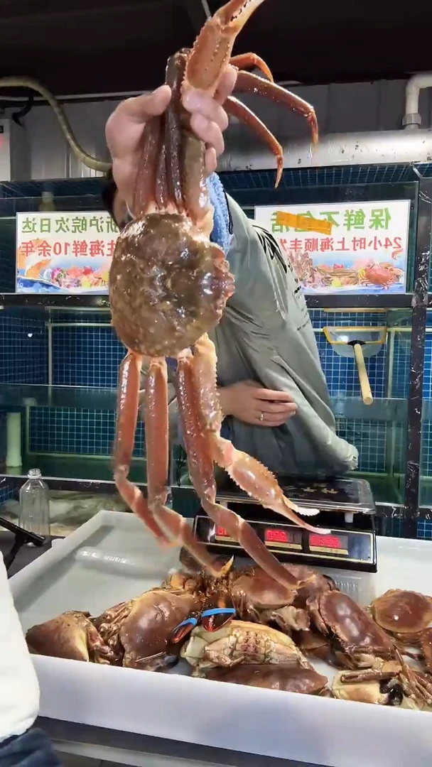 中国大陆直播间专属