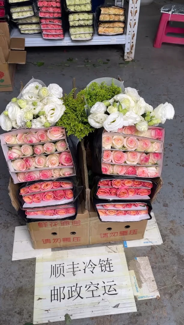 艾沙20枝+朱小姐20枝+白桔梗400克+黄莺