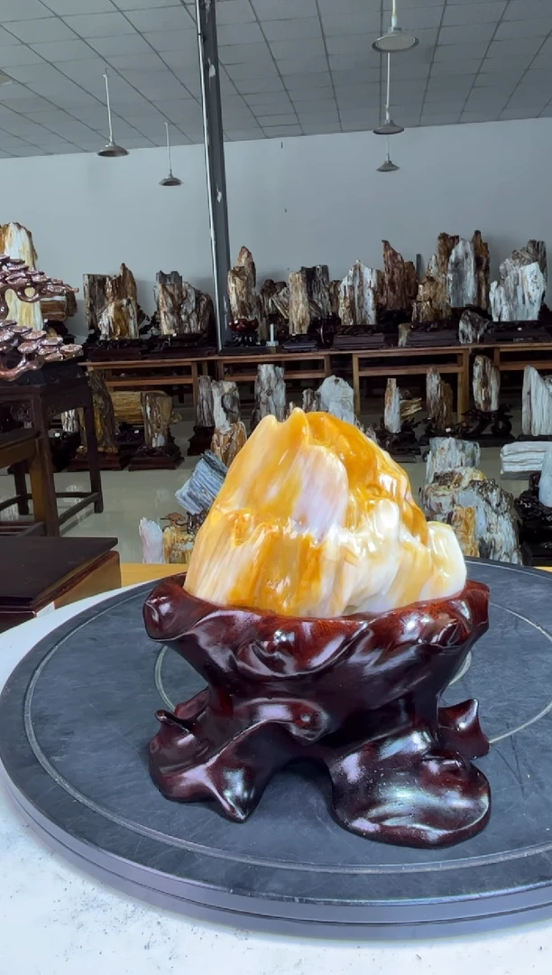 硅化玉珠宝奇石未镶嵌用****8333